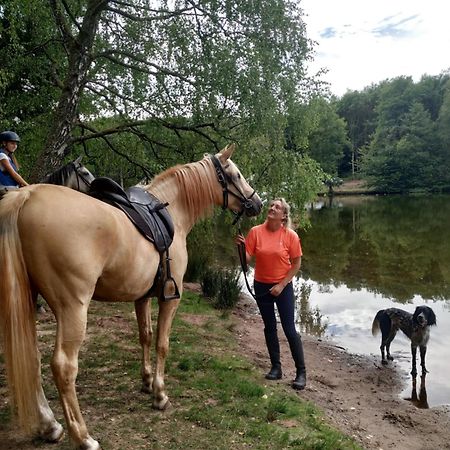 L'Echappee Verte - Gite Equestre 5 Pers Soucht Екстер'єр фото