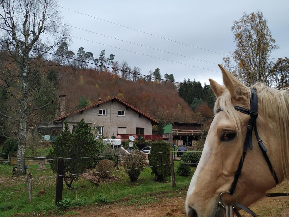 L'Echappee Verte - Gite Equestre 5 Pers Soucht Екстер'єр фото