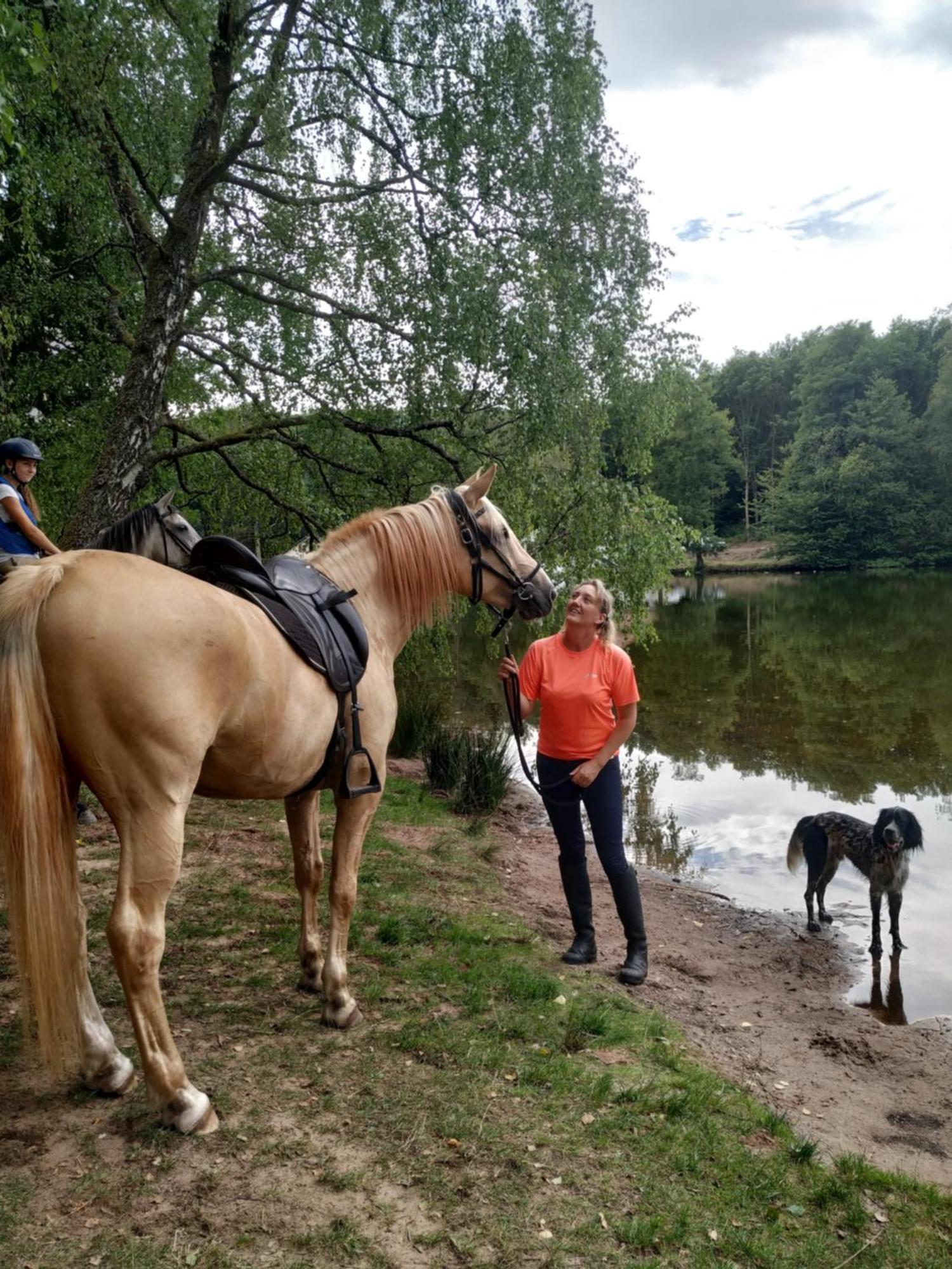 L'Echappee Verte - Gite Equestre 5 Pers Soucht Екстер'єр фото