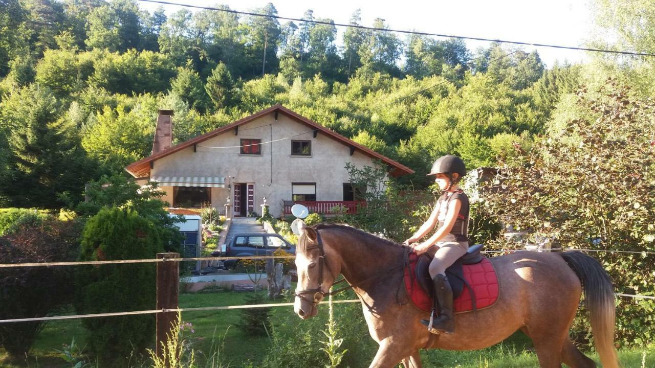 L'Echappee Verte - Gite Equestre 5 Pers Soucht Екстер'єр фото